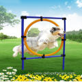 Outdoor dog training equipment tire jump Exercise